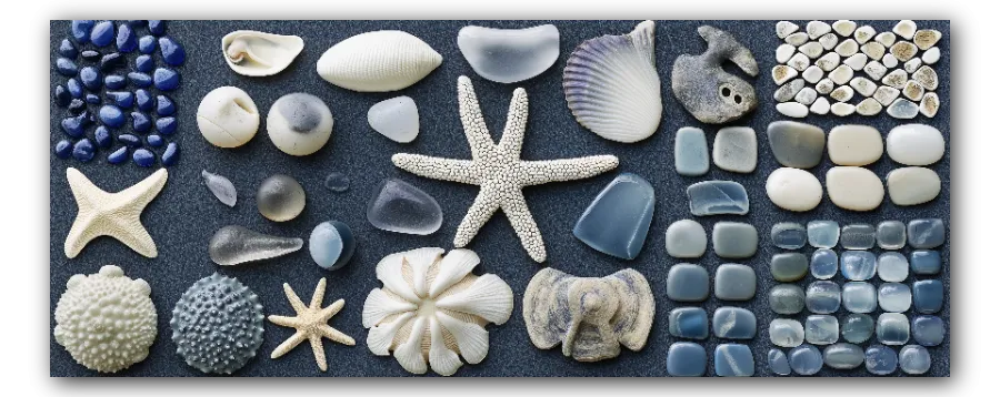 Treasures of the Sea artwork Treasures of the Sea artwork